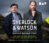 Die Bestie von Grimpen oder Der Hund der Baskervilles / Sherlock & Watson - Neues aus der Baker Street Bd.8 (2 Audio-CDs)