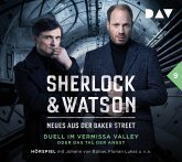 Duell im Vermissa Valley oder Das Tal der Angst / Sherlock & Watson - Neues aus der Baker Street Bd.9 (2 Audio-CDs)