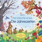 Die Jahreszeiten / Mein erstes Pop-up-Buch Bd.3