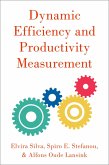 Dynamic Efficiency and Productivity Measurement (eBook, PDF)
