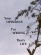 Your Opinions I'm Wrong That's Life... - Bild 1