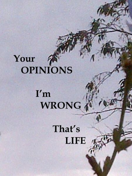Your Opinions I'm Wrong That's Life (eBook, ePUB) Your Opinions I'm Wrong That's Life (eBook, ePUB)