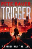 Trigger (Damien Hill Thriller Book 1) (eBook, ePUB)