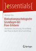 Motivationspsychologische Grundlagen des Flow-Erlebens (eBook, PDF)