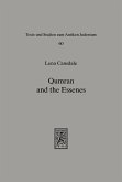 Qumran and the Essenes (eBook, PDF)