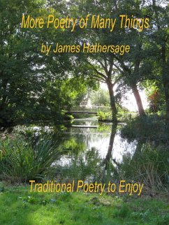 Cover More Poetry of Many Things (eBook, ePUB)