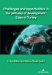 Challenges and opportunities in the... - Bild 1