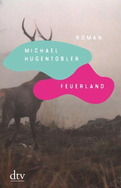 Feuerland (eBook, ePUB) - Hugentobler, Michael