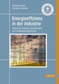 Energieeffizienz in der Industrie (eBook, PDF)