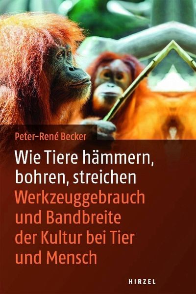 Wie Tiere hämmern, bohren, streichen (eBook, ePUB)