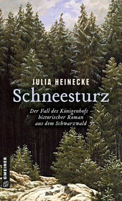 Schneesturz - Der Fall des Königenhofs - Heinecke, Julia