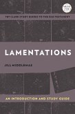 Lamentations (eBook, PDF)