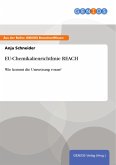 EU-Chemikalienrichtlinie REACH (eBook, PDF)