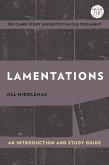 Lamentations (eBook, ePUB)