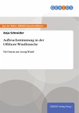 Aufbruchsstimmung in der Offshore-Windbranche (eBook, PDF)