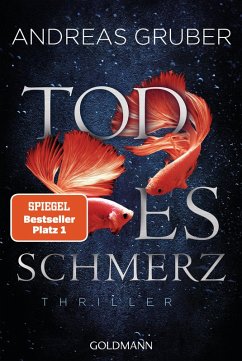 Todesschmerz / Sabine Nemez und Maarten Sneijder Bd.6 (eBook, ePUB) - Gruber, Andreas