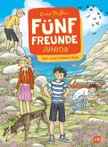 Der unsichtbare Dieb / Fünf Freunde Junior Bd.1 (eBook, ePUB)