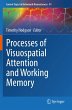 Processes of Visuospatial Attention and... - Bild 1