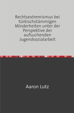 Rechtsextremismus bei türkischstämmigen Minderheiten unter der Perspektive der aufsuchenden Jugendsozialarbeit - Lutz, Aaron