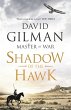 Shadow of the Hawk - Bild 1