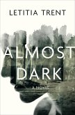 Almost Dark (eBook, ePUB)
