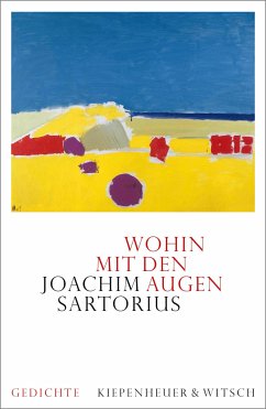 Wohin mit den Augen (eBook, ePUB) - Sartorius, Joachim