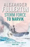 Storm Force to Narvik