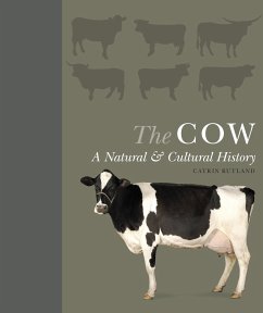 The Cow - Rutland, Catrin
