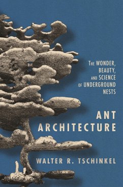 Ant Architecture - Tschinkel, Walter R.