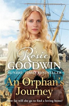 An Orphan's Journey - Goodwin, Rosie