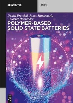 Polymer-Based Solid State Batteries - Brandell, Daniel;Mindemark, Jonas;Hernández, Guiomar