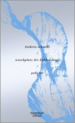 waschplatz der kühlen dinge (Mängelexemplar) - Schmidt, Kathrin