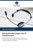 Herausforderungen von E-Government