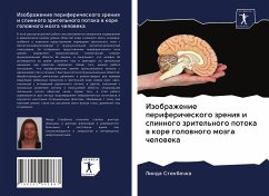 Izobrazhenie perifericheskogo zreniq i spinnogo zritel'nogo potoka w kore golownogo mozga cheloweka - Stenbachka, Linda