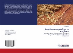 Seed-borne mycoflora in sorghum