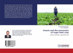 Insects and the economics of sugar beet crop