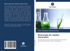 Bioenergie der zweiten Generation - Quinteros Vaca, Omar Napoleon