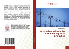 Architecture optimale des réseaux électriques de distribution - Ben Hamida, Imen