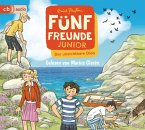 Der unsichtbare Dieb / Fünf Freunde Junior Bd.1 (CD)