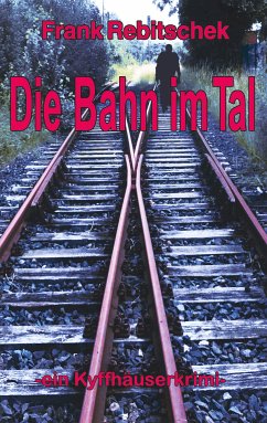 Die Bahn im Tal (eBook, ePUB)