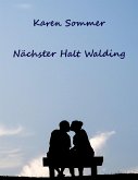 Nächster Halt Walding (eBook, ePUB)