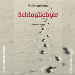 Cover Schlaglichter (MP3-Download)