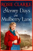 Stormy Days On Mulberry Lane (eBook, ePUB)