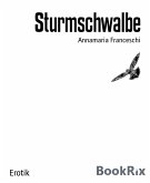 Sturmschwalbe (eBook, ePUB)