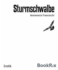 Sturmschwalbe (eBook, ePUB) - Franceschi, Annamaria