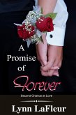 A Promise of Forever (eBook, ePUB)