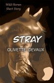 Stray (WILD HORSES) (eBook, ePUB)