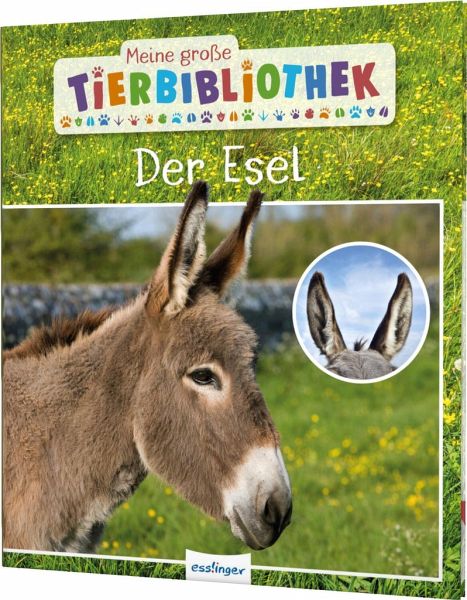 Sachbuch für Vorschule & Grundschule Meine große Tierbibliothek Der Igel 