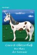 Coco & Glitzerfuß (eBook, ePUB) - Bild 1