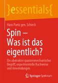 Spin – Was ist das eigentlich? (eBook, PDF)